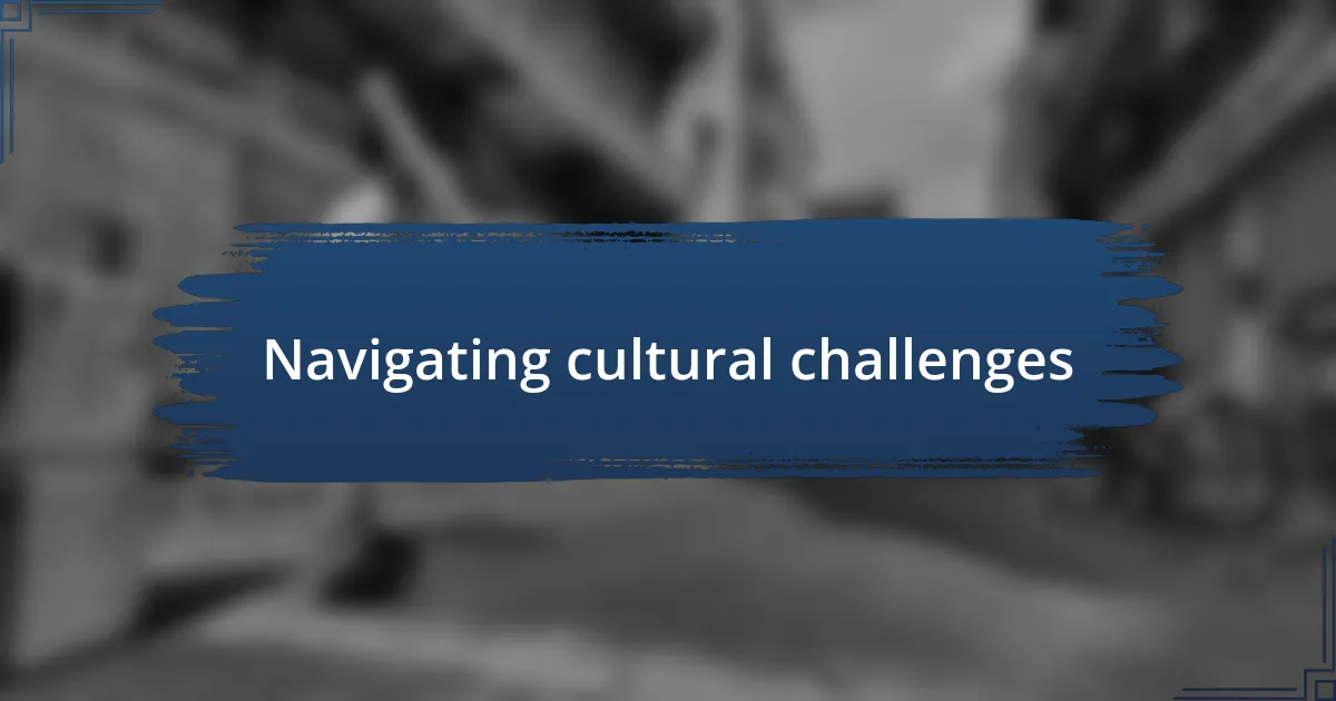 Navigating cultural challenges