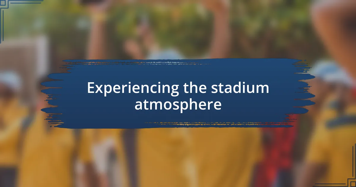 Experiencing the stadium atmosphere