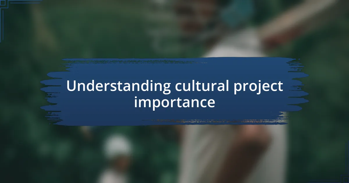 Understanding cultural project importance