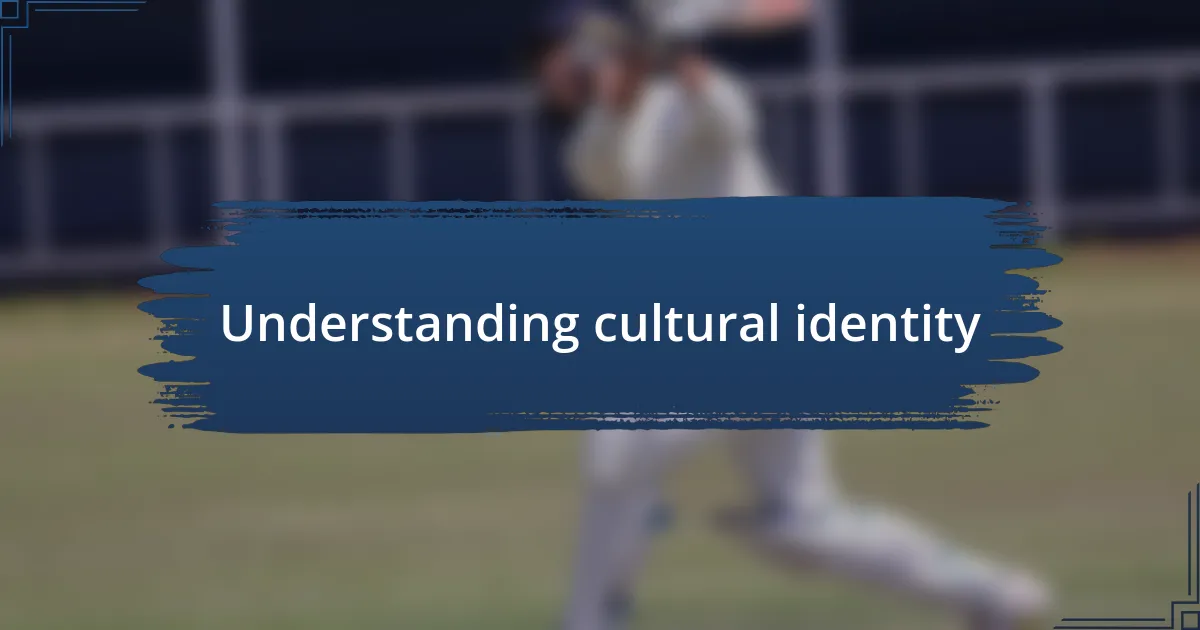 Understanding cultural identity