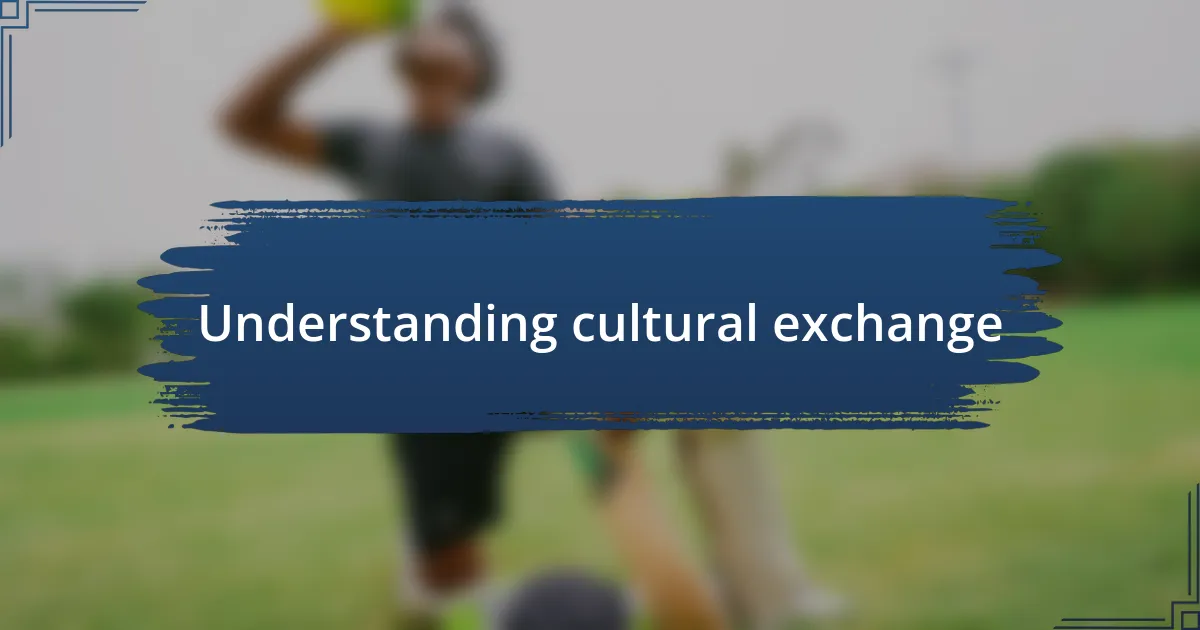 Understanding cultural exchange