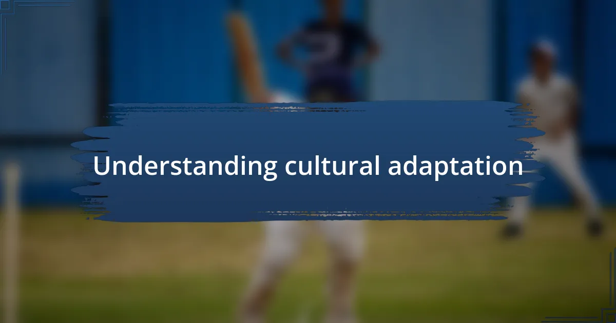 Understanding cultural adaptation